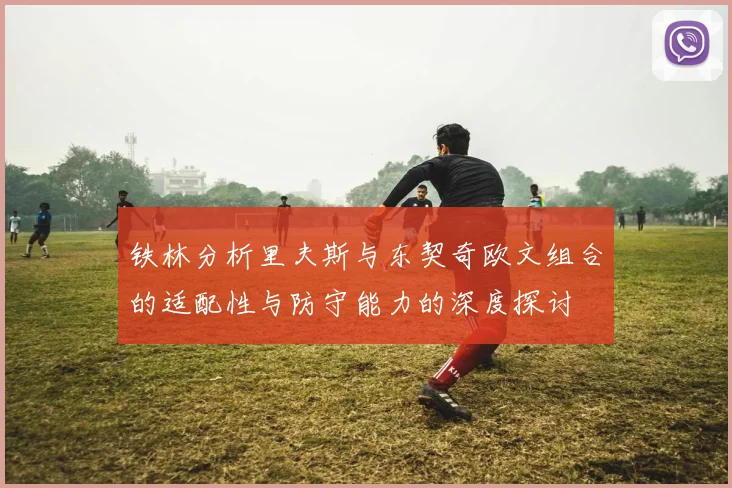 铁林分析里夫斯与东契奇欧文组合的适配性与防守能力的深度探讨